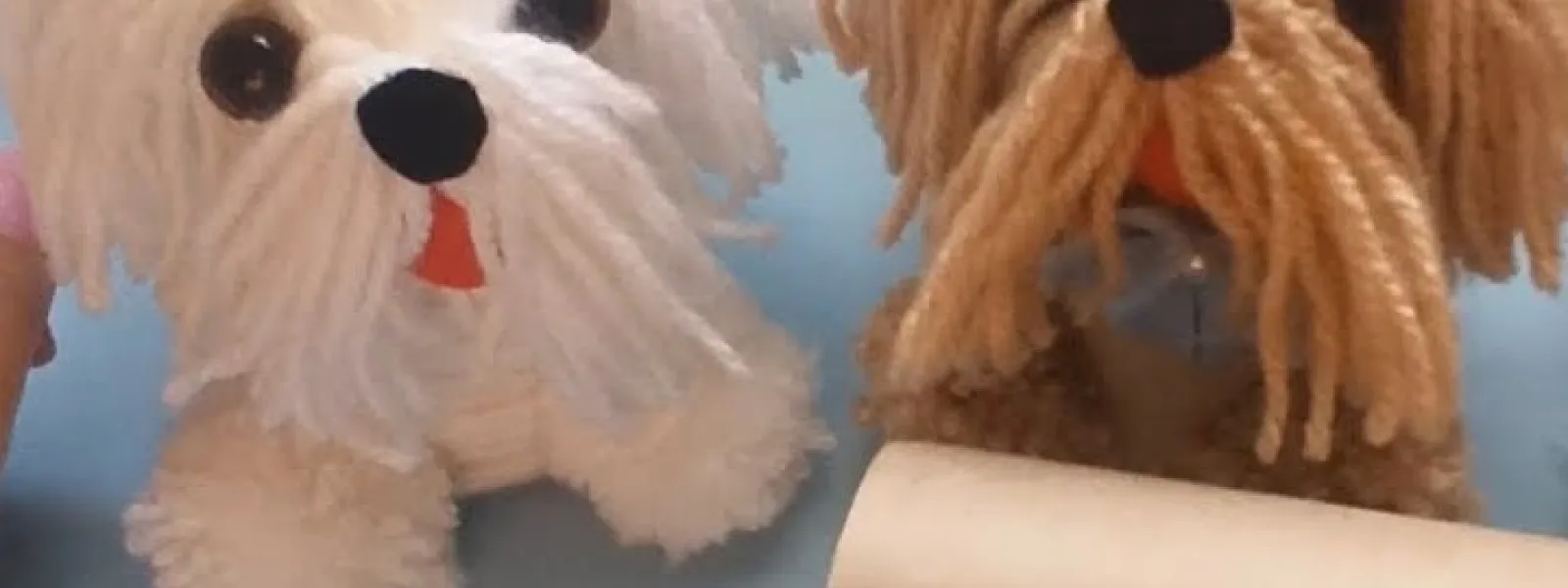 Atelier familial : Fabrique ton caniche