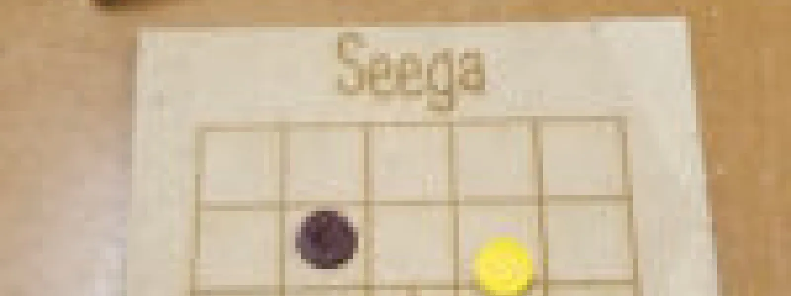 Jeu Seega